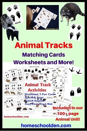 Animal Track Activities - Animal Unit