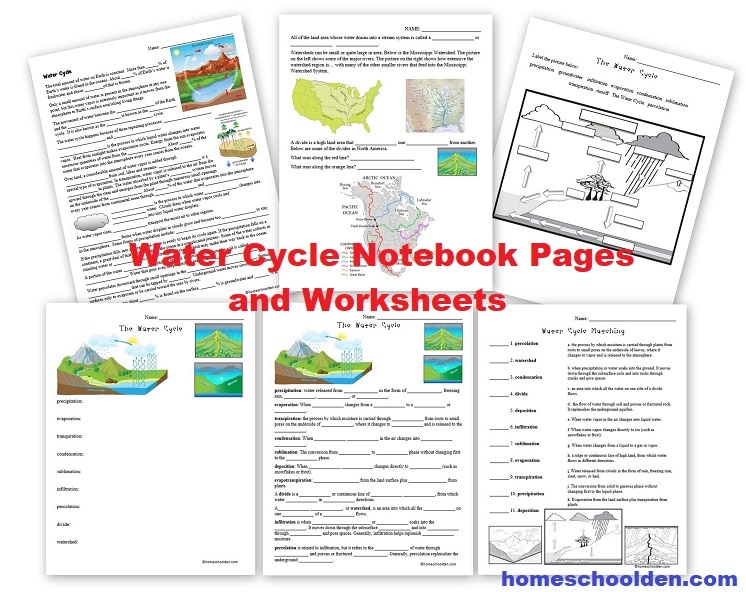 Water Cycle Notebook Pages and Worksheets