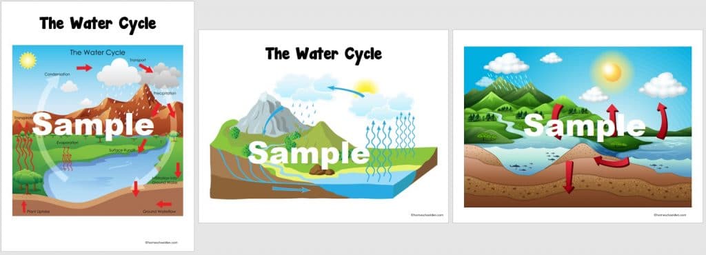Water Cycle Posters