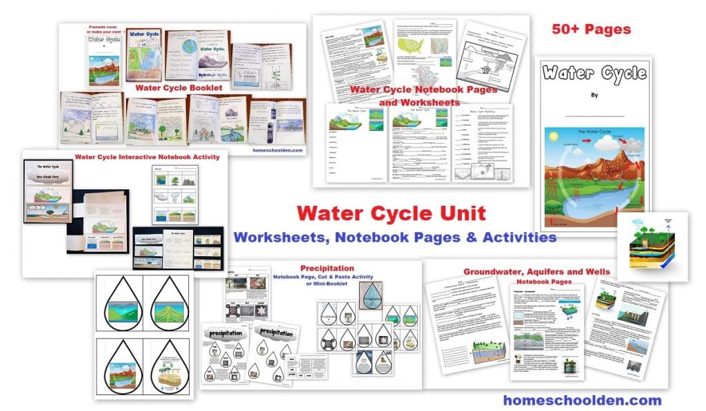 Water Cycle Unit - Worksheets Notebook Pages and Activities