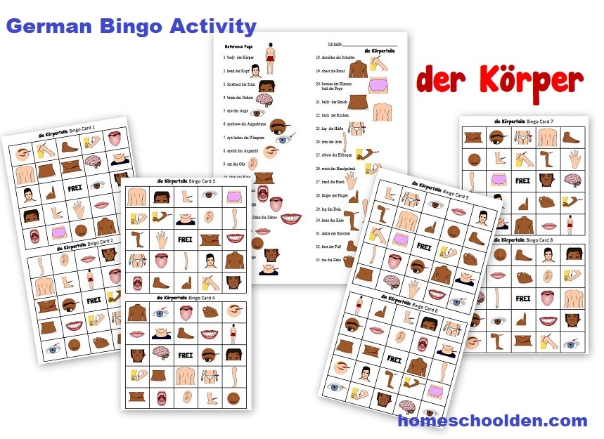 German Bingo Activity der Körper - The Body