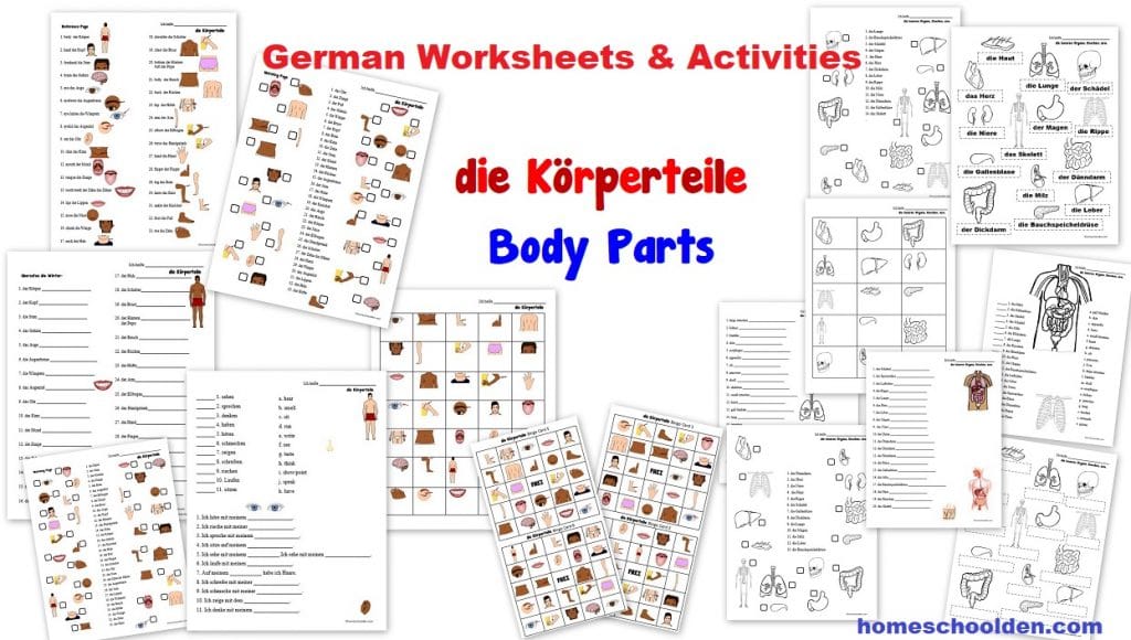 https://homeschoolden.com/wp-content/uploads/2019/05/German-Worksheets-die-K%C3%B6rperteile-Body-Parts-Organe-Knochen.jpg