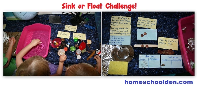 Sink or Float Challenge