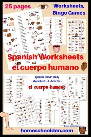 Spanish Worksheets - el cuerpo humano - parts of the body