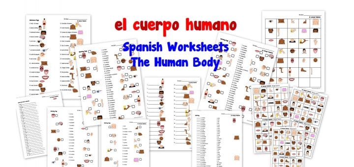 el cuerpo humano - Spanish Worksheets for Kids