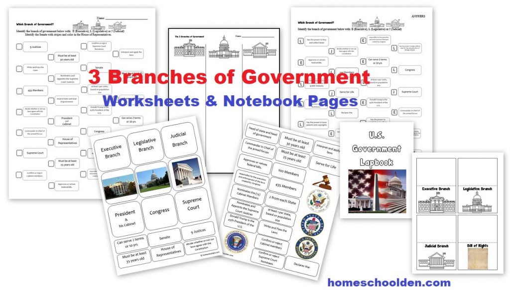3 Branches of Government Worksheets - Notebook Pages