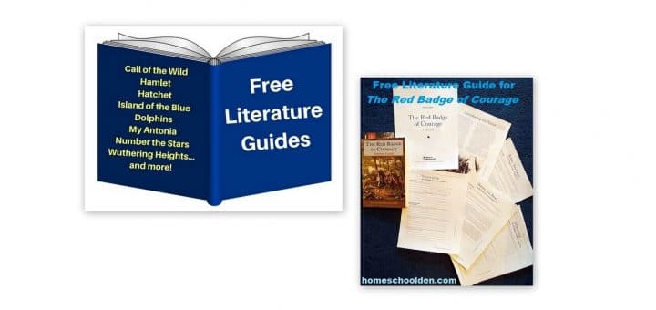 Free Literature Study Guides