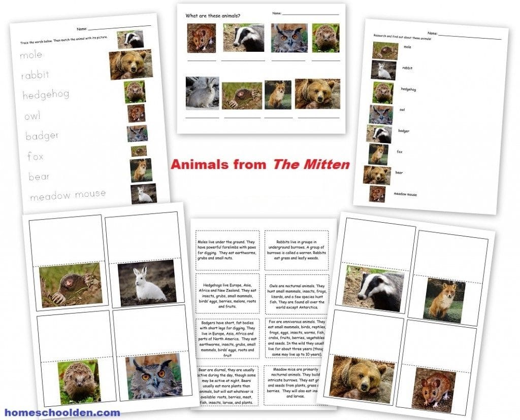 Animals-from-the-Mitten printables