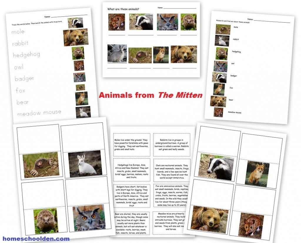 https://homeschoolden.com/wp-content/uploads/2020/01/Animals-from-the-Mitten-printables.jpg