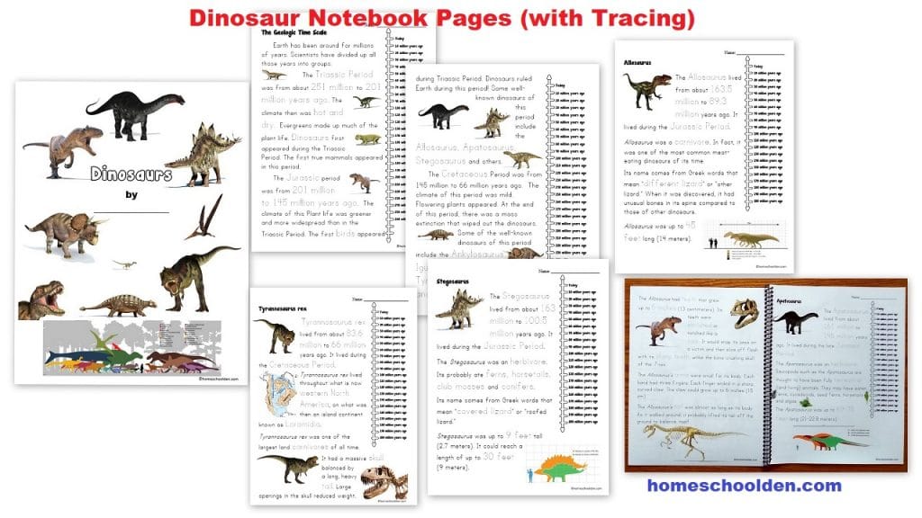 Dinosaur Notebook Pages - Tracing