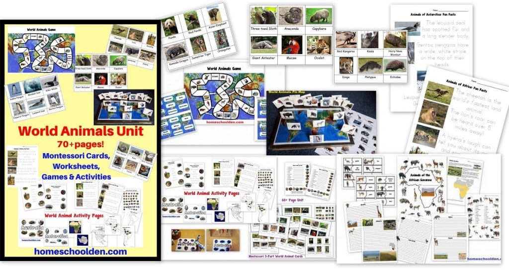 World Animals Unit - Montessori Cards Games Activities and more