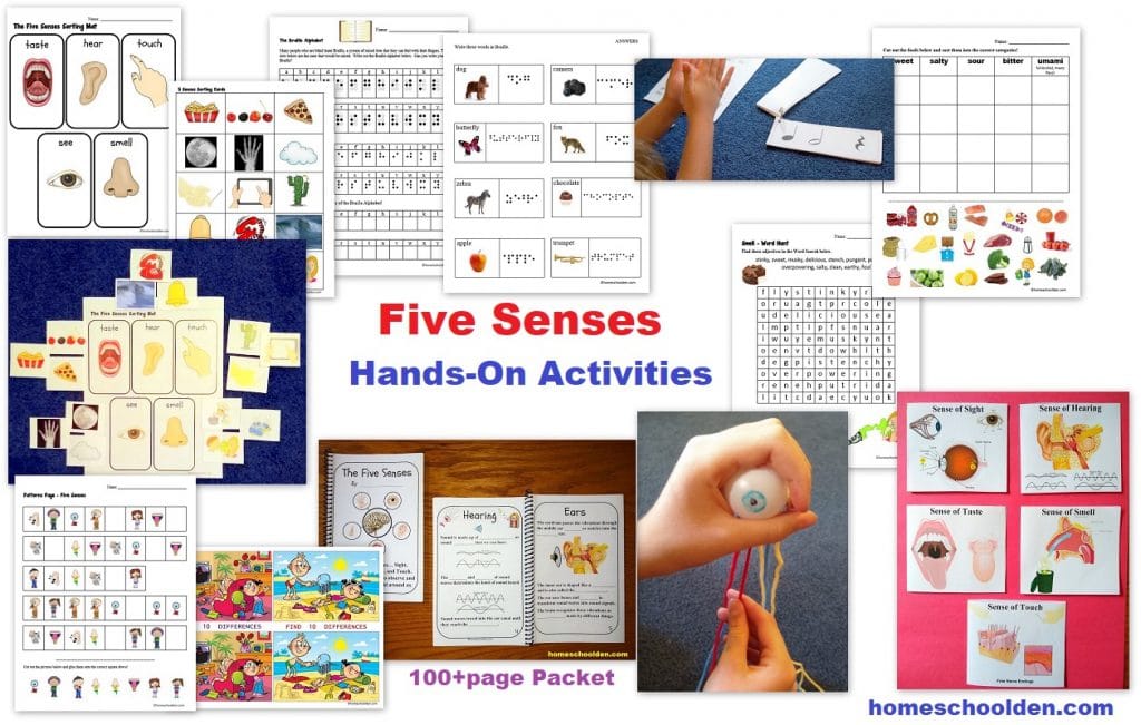Five Senses Hands-On Activities