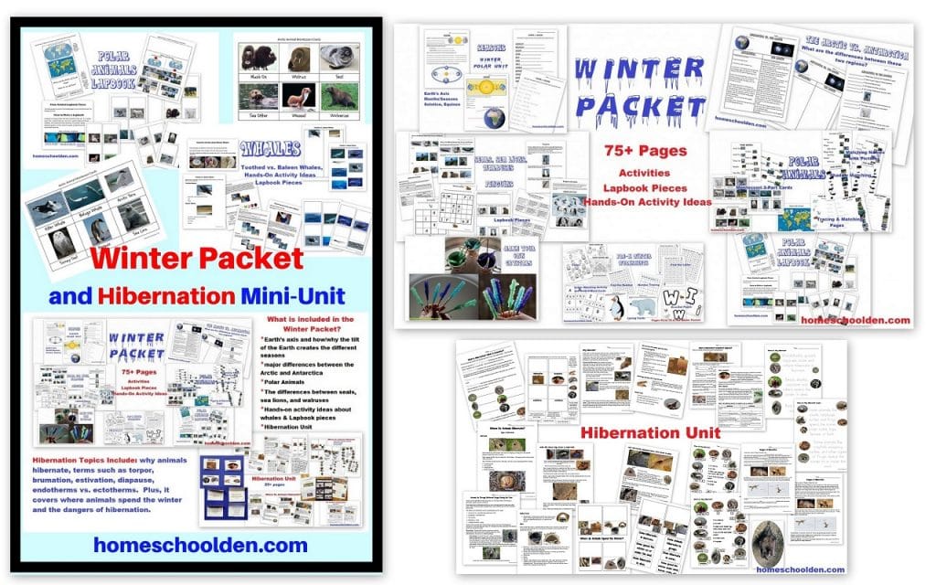Winter and Hibernation Unit with Polar Animals Seals Whales Penguins and More