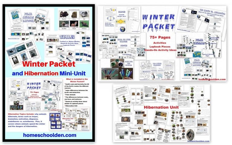 https://homeschoolden.com/wp-content/uploads/2020/04/Winter-and-Hibernation-Unit-with-Polar-Animals-Seals-Whales-Penguins-and-More-768x480.jpg
