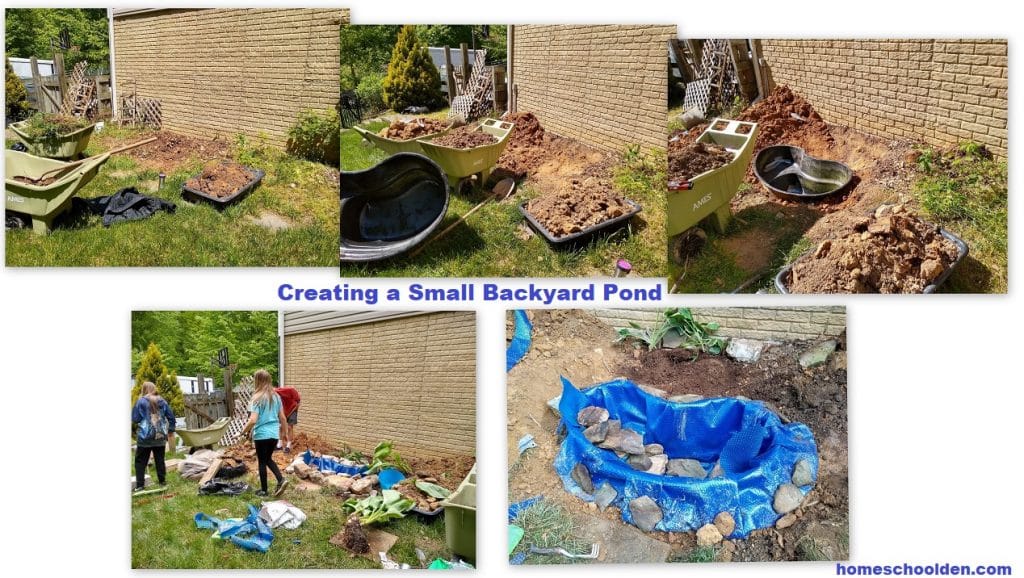 Creating a Small Backyard Pond