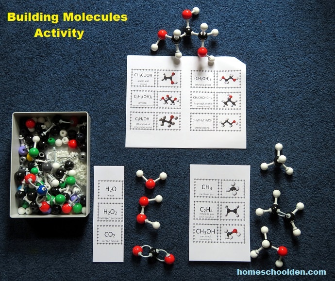 Building Molecules Activity