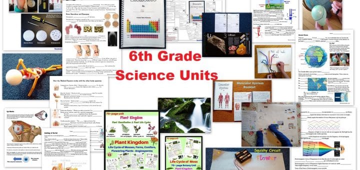 6th Grade Science Units