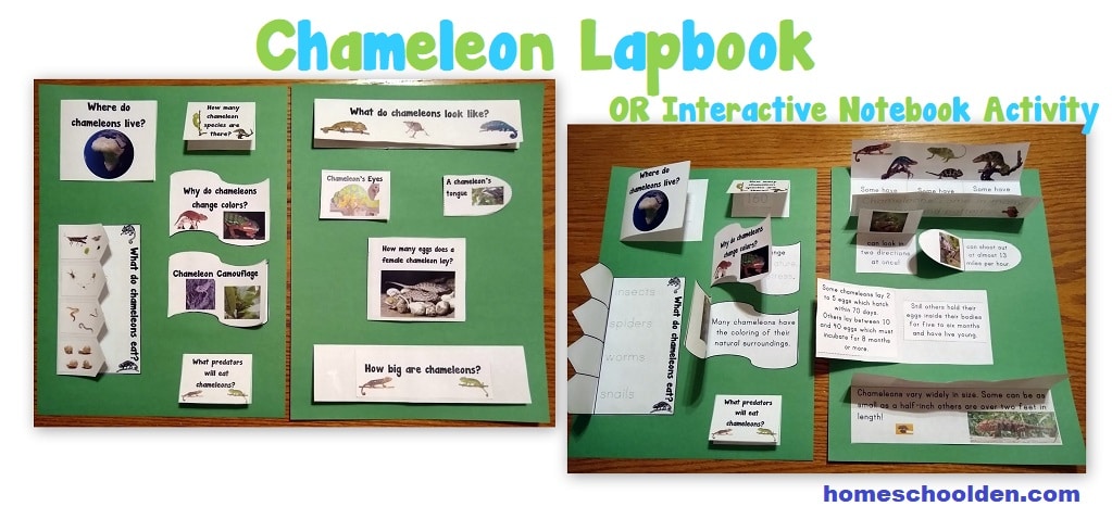 Chameleon Lapbook or Interactive Notebook Activity