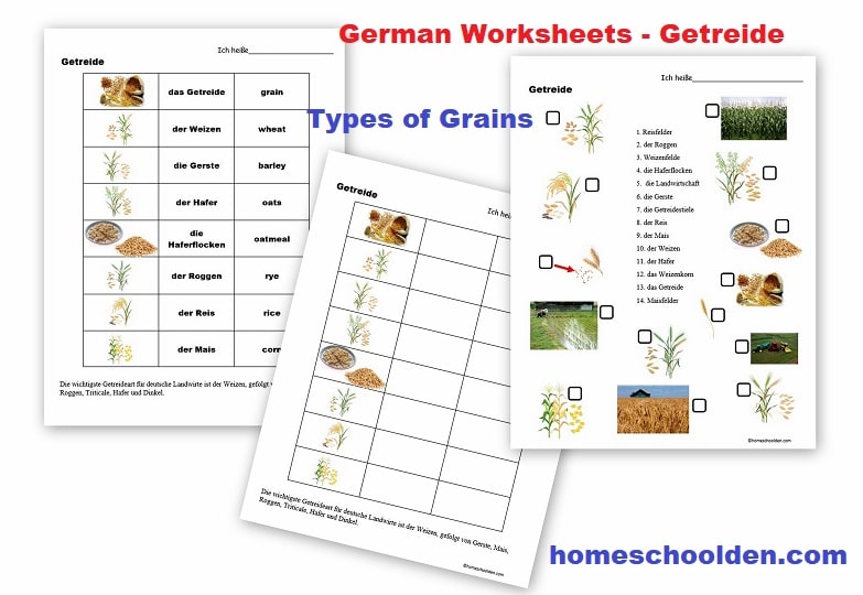German Worksheets - Getreide - Types of Grains