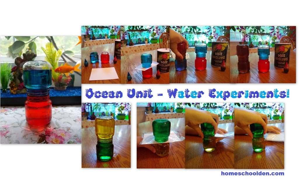 Ocean Unit - Water Experiments