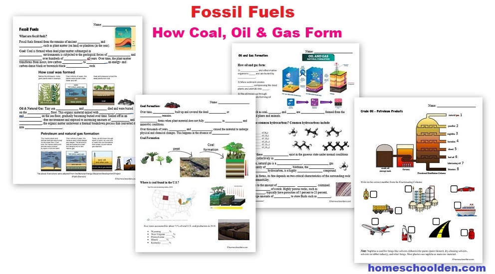 Fossil Fuel Worksheets - How Coal Oil and Natural Gas Form