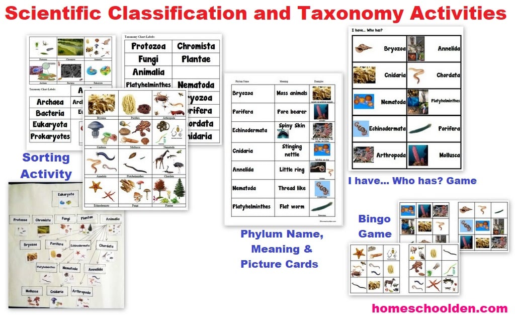 Scientific Classification and Taxonomy Activities