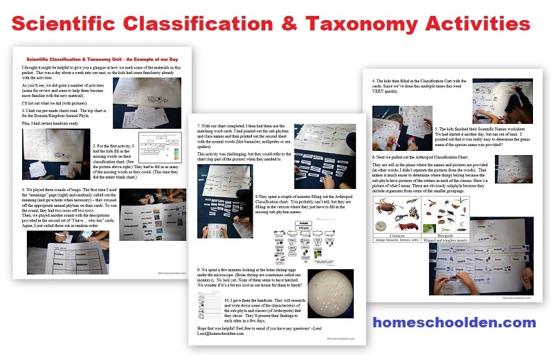 Scientific Classification and Taxonomy Activity - Sample Day