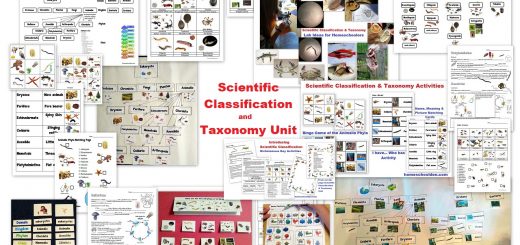 Scientific Classification and Taxonomy Unit