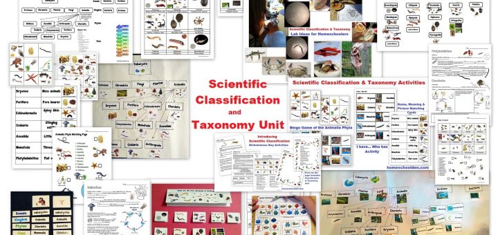 Scientific Classification and Taxonomy Unit