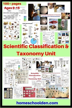 Scientific Classification and Taxonomy Unit - Animal Classification