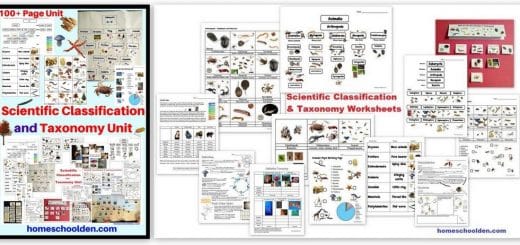 Scientific Classification and Taxonomy Unit - Worksheets and Activities