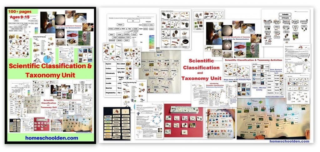 Scientific Classification and Taxonomy Unit for Middle School and early High School