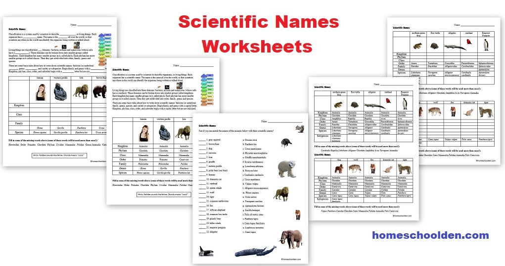 Scientific Names Worksheets