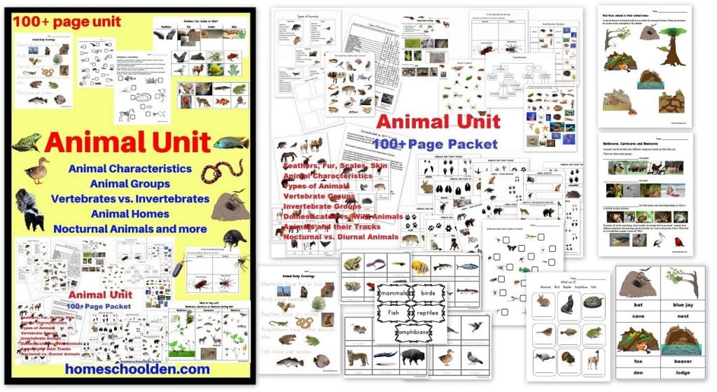 Animal Unit - 100-page Animal Characteristics Vertebrates Invertebrates Spiders Insects Animal Homes and more