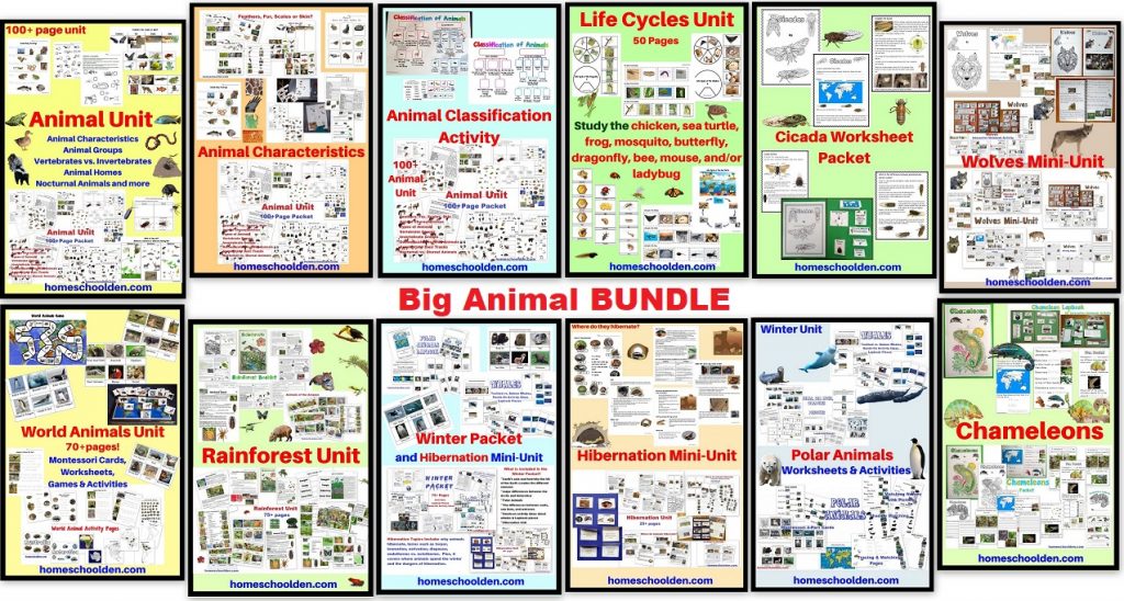 Big Animal BUNDLE - includes 8 pdfs