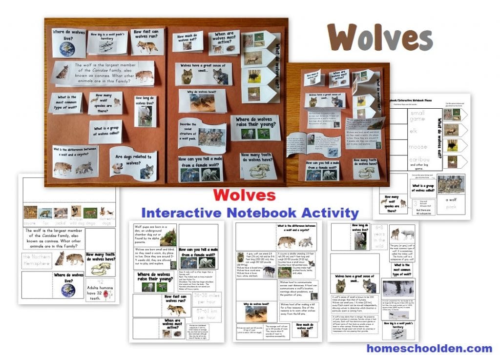 Wolves Interactive Notebook Activity