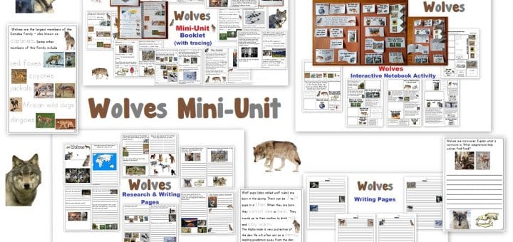 Wolves Mini-Unit Worksheets Notebook Activities Lapbook