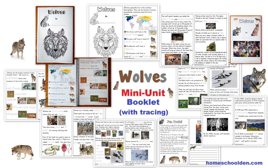 Wolves Mini-Unit - Worksheets and Booklet