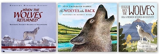 Wolves in Yellowstone - Children's Books