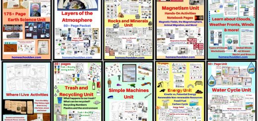 Earth Science and Physical Science Units BUNDLE