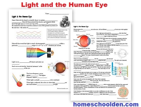 Light and the Human Eye Worksheets