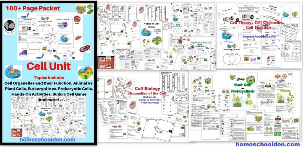Cell Unit - Plant and Animal Cell Worksheets and Activities