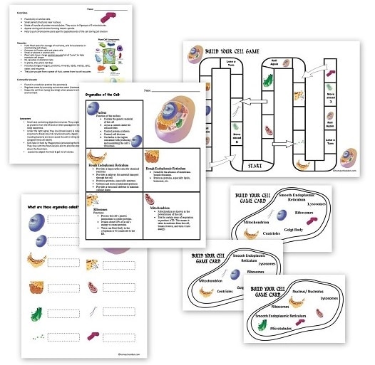 Cell-Unit-Worksheets-Notebook-Pages-and-Game and more