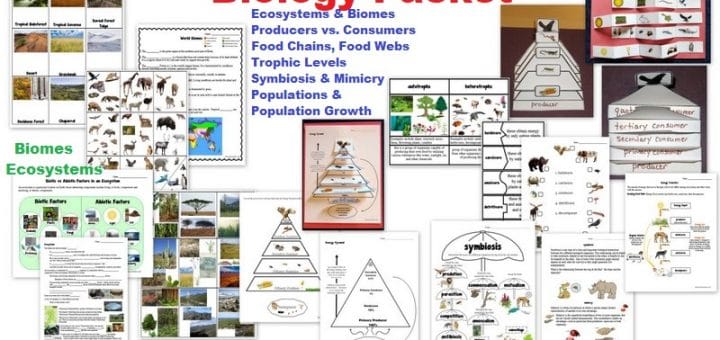 Biology Packet - Ecosystems Biomes Food Chains Food Web Trophic Levels Populations