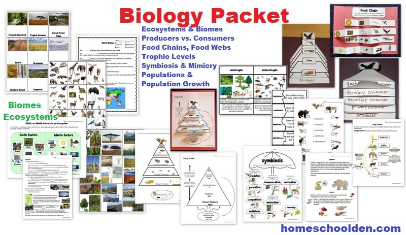 Biology Packet - Ecosystems Biomes Food Chains Food Web Trophic Levels Populations