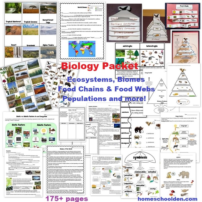 Biology Packet - Ecosystems, Biomes, Food Chains, Populations