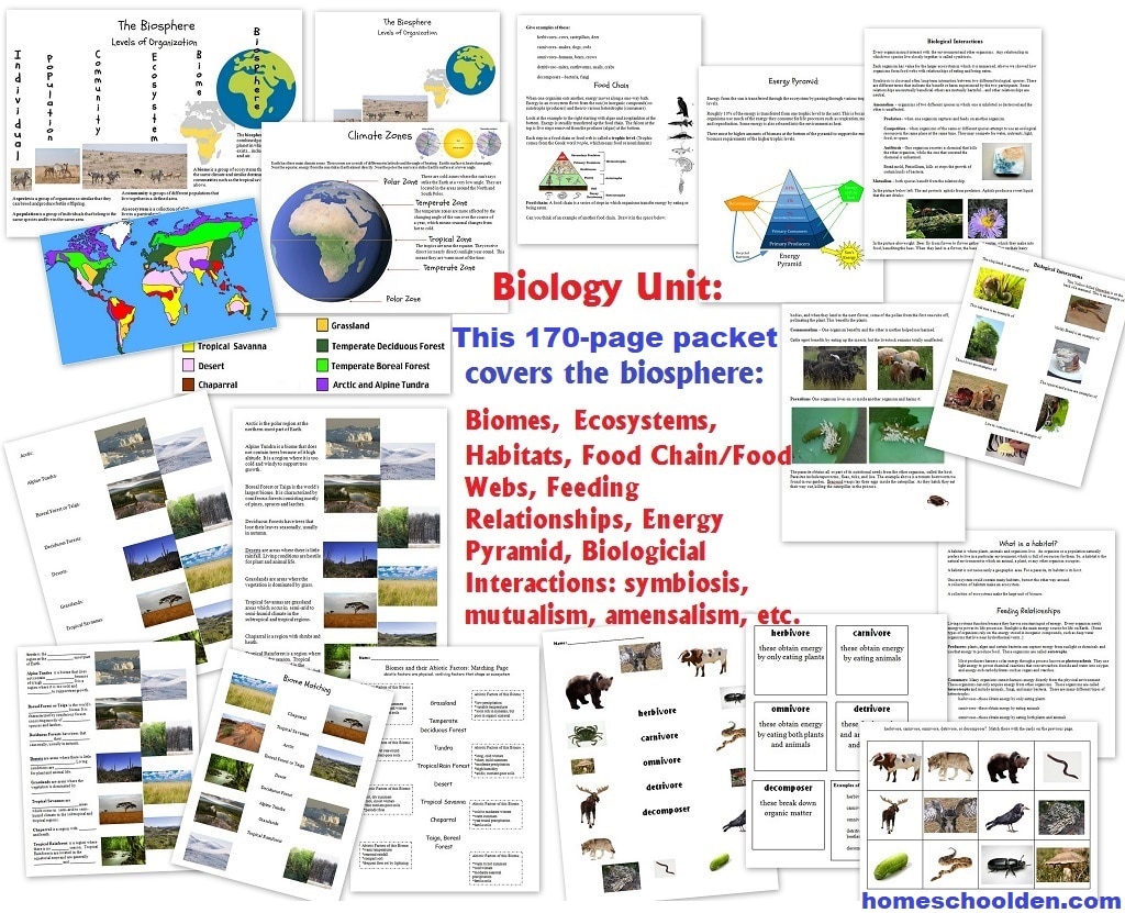 Biology Unit Ecology - Biomes-Ecosystem-Habitats- relationships between living organisms and their physical environment