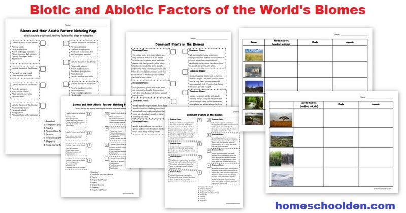 Biotic and Abiotic Factors - World Biomes Worksheets