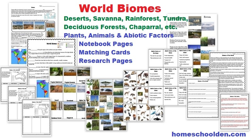 World Biomes Worksheets Notebook Pages Cards & Activities