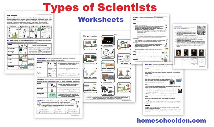 Types of Scientists Worksheets - Life Science Earth Science Physical Science